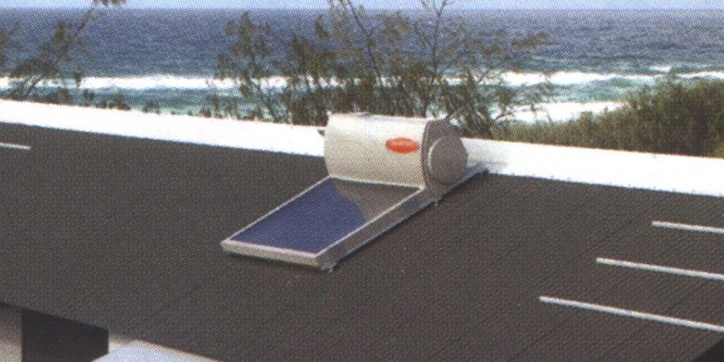 solar crop